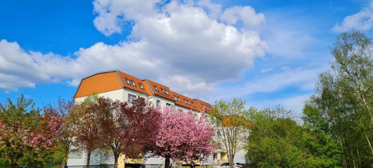 Apartment Moderne Wohlfuehlferienwohnung In