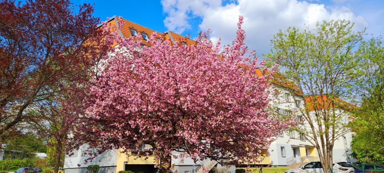 Moderne Wohlfuehlferienwohnung In Hildburghausen